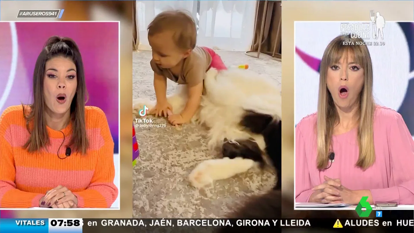 El vídeo viral que demuestra que los perros se llevan mucho mejor con los bebés que los gatos El vídeo viral que demuestra que los perros se llevan mucho mejor con los bebés que los gatos