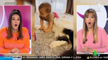 El vídeo viral que demuestra que los perros se llevan mucho mejor con los bebés que los gatos