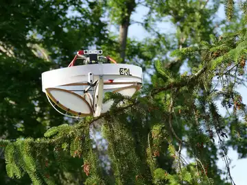 Crean un dron que recoge ADN animal de las ramas de los arboles Crean un dron que recoge ADN animal de las ramas de los arboles