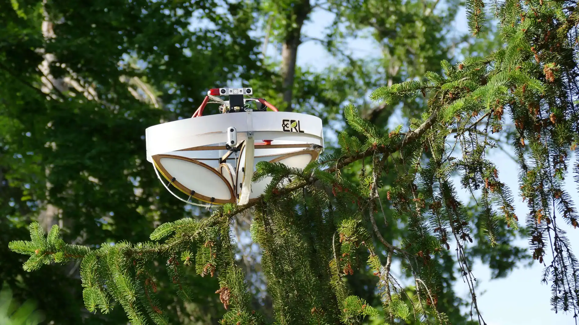 Crean un dron que recoge ADN animal de las ramas de los arboles