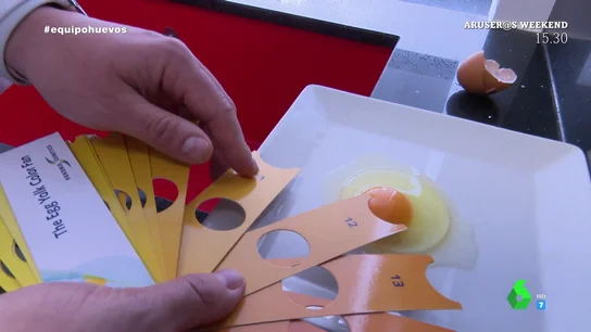 EQUIPO DE INVESTIGACIÓN DESMONTA LA CREENCIA "TOTALMENTE FALSA" SOBRE LOS HUEVOS EQUIPO DE INVESTIGACIÓN DESMONTA LA CREENCIA "TOTALMENTE FALSA" SOBRE LOS HUEVOS