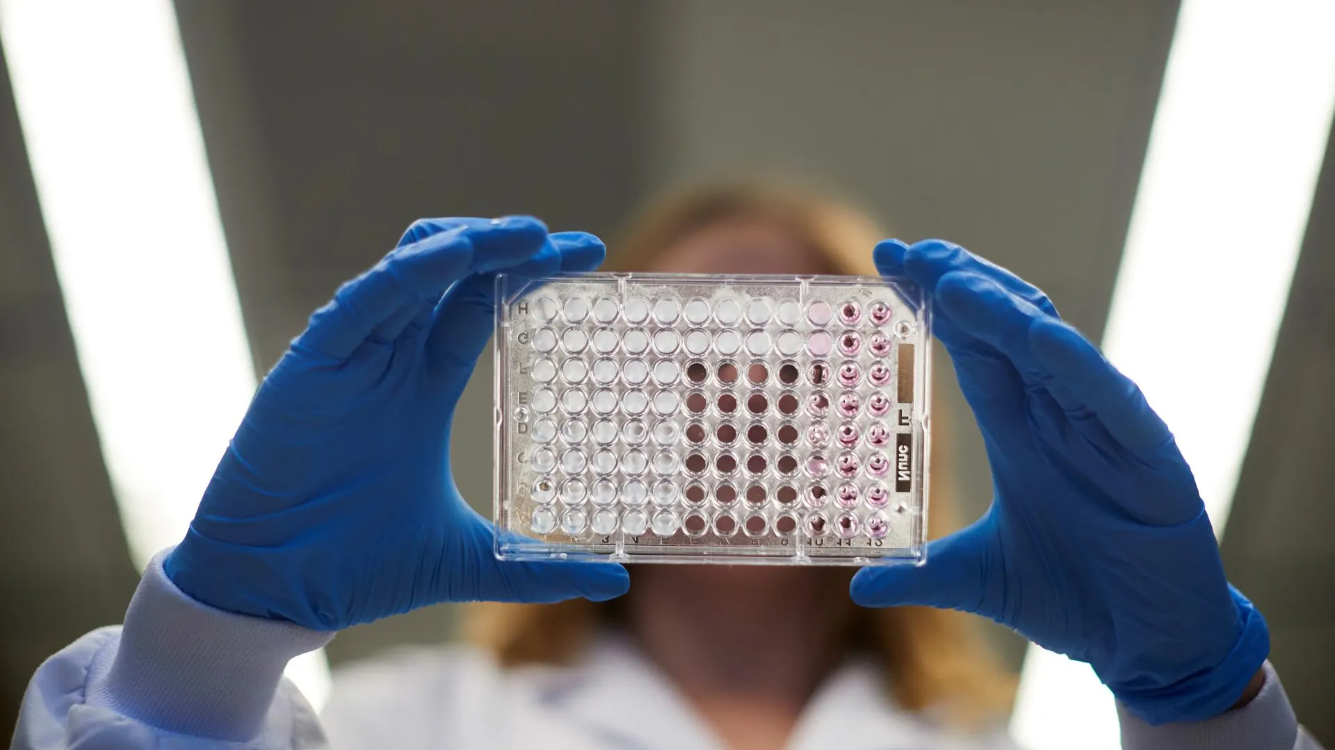 Imagen de archivo de una investigadora trabajando en laboratorio