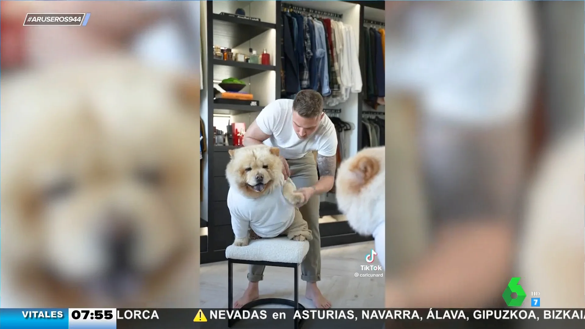 Con pantalones, camisa y chaqueta: así es el perro que viste exactamente igual que su dueño