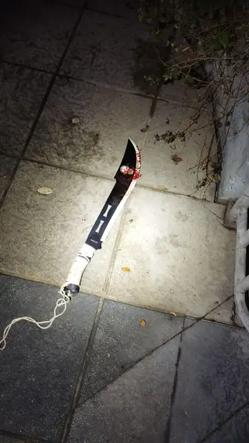 Imagen del machete utilizado por el detenido en Algeciras Imagen del machete utilizado por el detenido en Algeciras