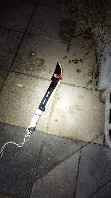 Imagen del machete utilizado por el detenido en Algeciras