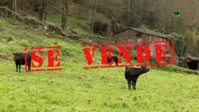 Equipo de Investigaci&oacute;n Se vende pueblo