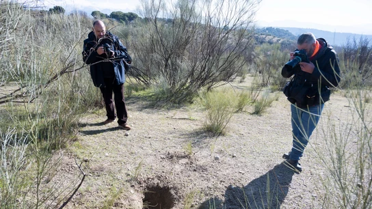 Encuentran el cadáver de un bebé envuelto en mantas en Granada Encuentran el cadáver de un bebé envuelto en mantas en Granada
