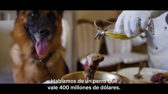 'Gunther, el perro millonario' tráiler