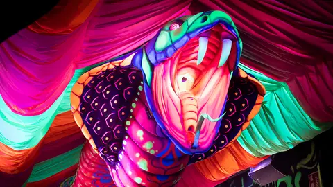 cobra de Calle 365, en Madrid cobra de Calle 365, en Madrid