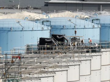 A nuclear reactor is automatically deactivated in Japan after an anomaly alert