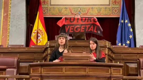 Dos activistas pegan sus manos a los micrófonos del Congreso de los Diputados "Esto es una emergencia climática" Dos activistas pegan sus manos a los micrófonos del Congreso de los Diputados "Esto es una emergencia climática"