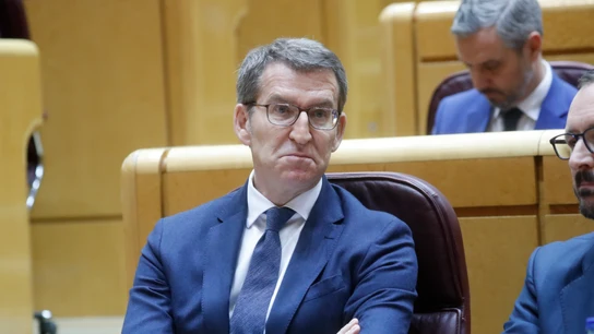 El líder del PP, Alberto Núñez Feijóo, durante el pleno del Senado, este martes en Madrid. El líder del PP, Alberto Núñez Feijóo, durante el pleno del Senado, este martes en Madrid.