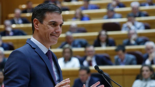 Sánchez esquiva la polémica de la ley del 'solo sí es sí' en un bronco cara a cara con Feijóo Sánchez esquiva la polémica de la ley del 'solo sí es sí' en un bronco cara a cara con Feijóo