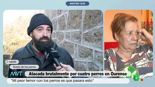 El dueño de los cuatro pitbull culpa a la víctima del ataque: "Empezó a pegarles en cuanto los vio" El dueño de los cuatro pitbull culpa a la víctima del ataque: "Empezó a pegarles en cuanto los vio"