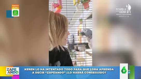¡Lo ha conseguido! Así logra la dueña de este loro parlanchín que diga "Zapeando" ¡Lo ha conseguido! Así logra la dueña de este loro parlanchín que diga "Zapeando"