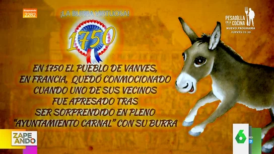 Las surrealistas historias de estos animales que fueron condenados a muerte  Las surrealistas historias de estos animales que fueron condenados a muerte
