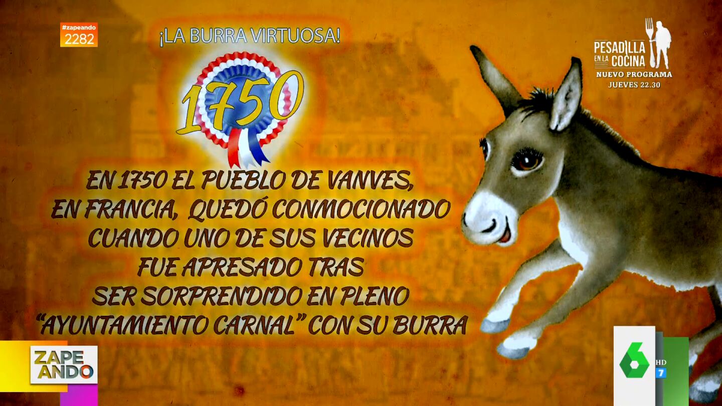 Las surrealistas historias de estos animales que fueron condenados a muerte 