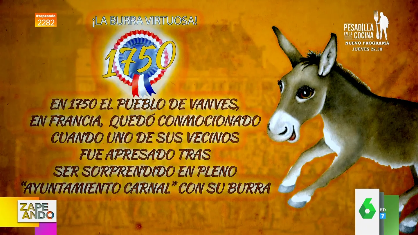 Las surrealistas historias de estos animales que fueron condenados a muerte Las surrealistas historias de estos animales que fueron condenados a muerte