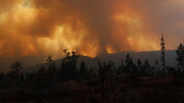 Las escalofriantes imágenes de las llamas arrasando Chile
