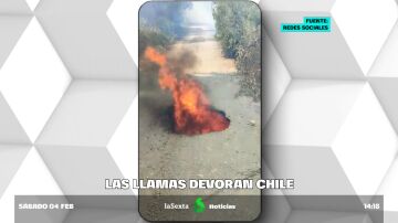 Mueren al menos 16 personas en los incendios en Chile: las llamas se expanden hasta por debajo de la superficie