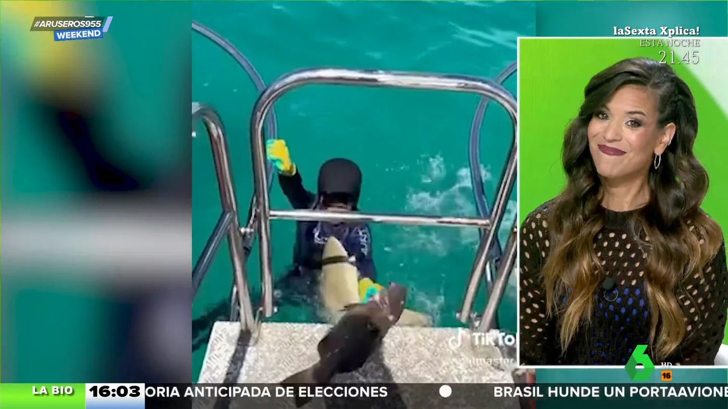 El escalofriante momento en el que un tiburón atrapa a un niño a punto de subir a una barca El escalofriante momento en el que un tiburón atrapa a un niño a punto de subir a una barca