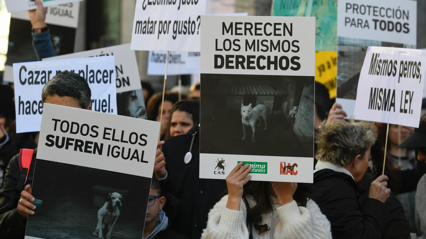 Protestas animalistas contra la exclusión de los perros de caza de la ley de bienestar animal Animalistas protestan en 44 ciudades contra la exclusión de los perros de caza de la ley de bienestar animal