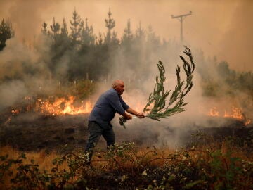 Chile asks for international help against the wave of fires that already leaves 23 dead and 979 injured