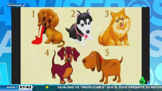 ¿Cómo son los aruser@s en el amor? Este test de personalidad con perritos guarda alguna que otra sorpresa ¿Cómo son los aruser@s en el amor? Este test de personalidad con perritos guarda alguna que otra sorpresa