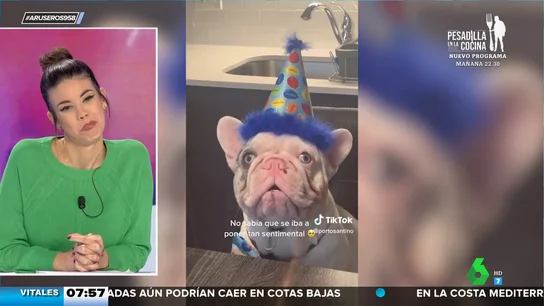 El tierno vídeo viral del perro que se emociona cuando le cantan el cumpleaños feliz El tierno vídeo viral del perro que se emociona cuando le cantan el cumpleaños feliz