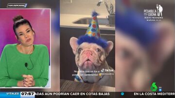 El tierno vídeo viral del perro que se emociona cuando le cantan el cumpleaños feliz