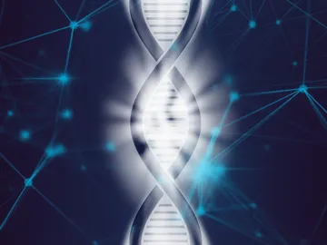 Cientificos espanoles descubren que algunas secuencias de ADN cambian segun el entorno Cientificos espanoles descubren que algunas secuencias de ADN cambian segun el entorno