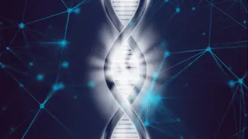 Cientificos espanoles descubren que algunas secuencias de ADN cambian segun el entorno