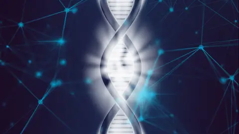 Cientificos espanoles descubren que algunas secuencias de ADN cambian segun el entorno Cientificos espanoles descubren que algunas secuencias de ADN cambian segun el entorno