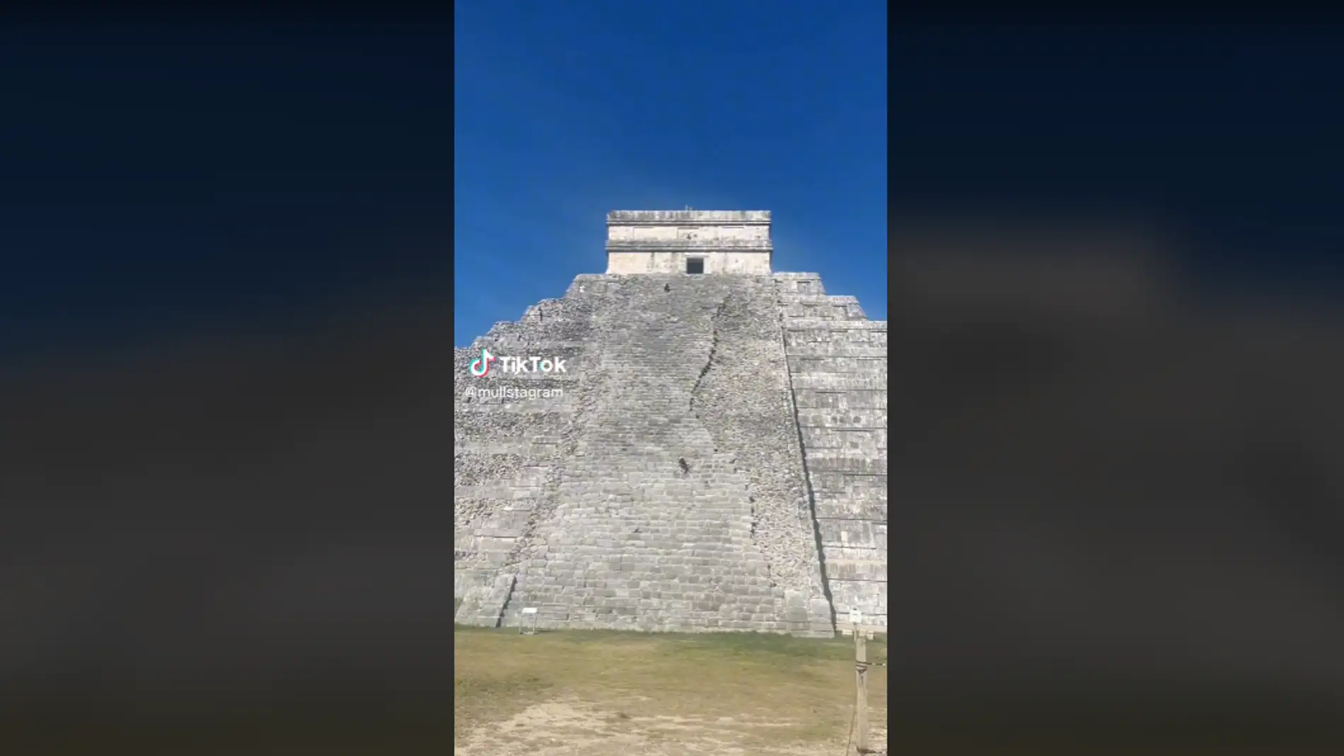 Dos perros se suben a la pirámide de Chichén Itzá