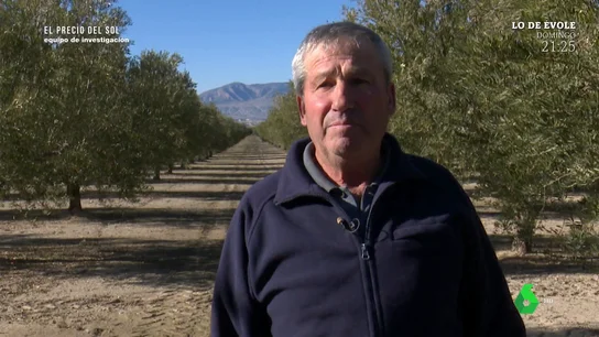 "Es un sinvivir": el lamento de un agricultor al que le expropiarán sus tierras para instalar placas solares "Es un sinvivir": el lamento de un agricultor al que le expropiarán sus tierras para instalar placas solares