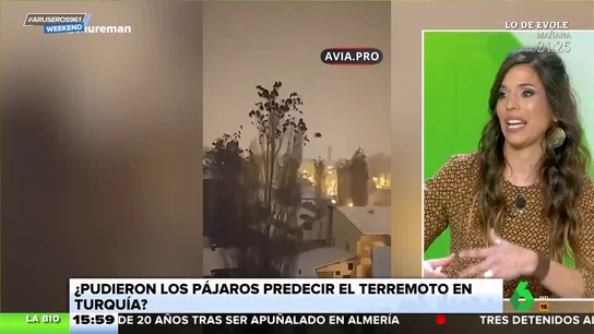 ¿Pudieron los pájaros predecir el terremoto en Turquía? Evelyn Segura responde ¿Pudieron los pájaros predecir el terremoto en Turquía? Evelyn Segura responde