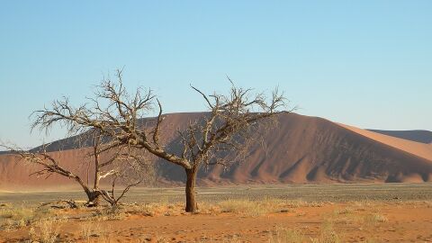 Namibia