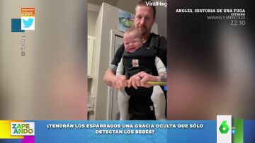 El ataque de risa viral de un bebé cuando ve a su padre partir espárragos para la comida 