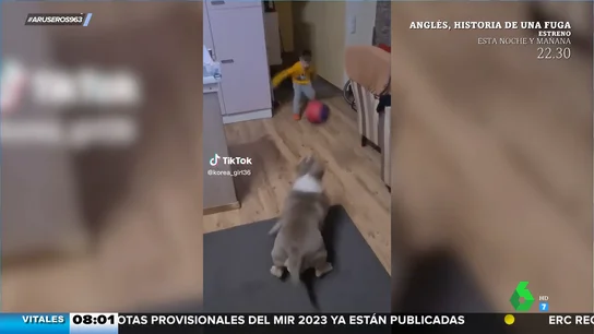 La sorprendente habilidad de este perro para pagar penaltis cuando juega al fútbol con un niño La sorprendente habilidad de este perro para pagar penaltis cuando juega al fútbol con un niño