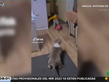 La sorprendente habilidad de este perro para pagar penaltis cuando juega al fútbol con un niño