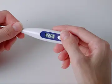 Termómetro Termómetro