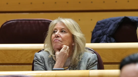 La alcaldesa de Marbella operó su sociedad oculta en Suecia para intentar ampliar su capital en un millón de euros La alcaldesa de Marbella operó su sociedad oculta en Suecia para intentar ampliar su capital en un millón de euros