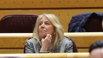 La alcaldesa de Marbella operó su sociedad oculta en Suecia para intentar ampliar su capital en un millón de euros