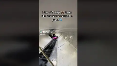 Trabajador muestra cómo guardan las maletas en la bodega del avión Trabajador muestra cómo guardan las maletas en la bodega del avión