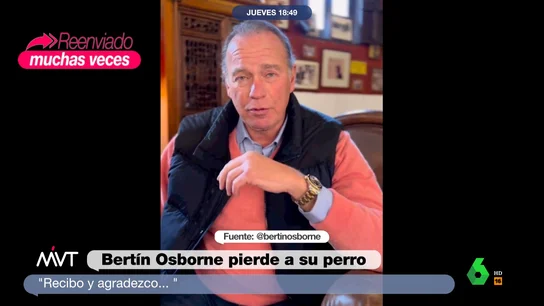 perro bertin osborne perro bertin osborne