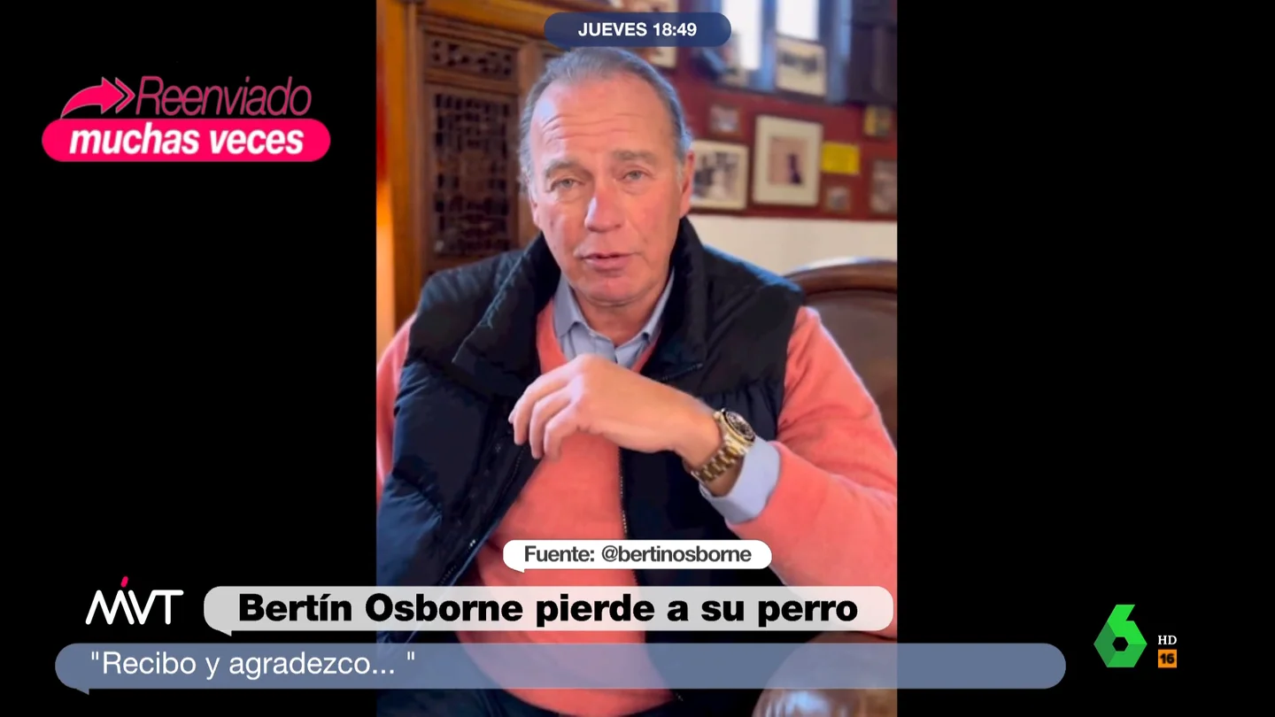 perro bertin osborne perro bertin osborne