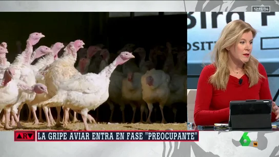 "Tenemos un problema mundial muy serio": Graziella Almendral explica cuál es la "preocupación" con la gripe aviar "Tenemos un problema mundial muy serio": Graziella Almendral explica cuál es la "preocupación" con la gripe aviar