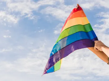 Bandera LGTBI+. Bandera LGTBI+.
