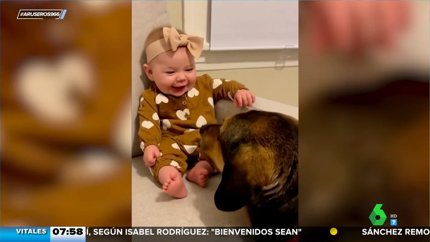 El entrañable vídeo viral de un perro haciéndole cosquillas en los pies a un bebé El entrañable vídeo viral de un perro haciéndole cosquillas en los pies a un bebé