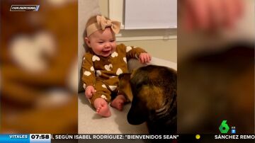 El entrañable vídeo viral de un perro haciéndole cosquillas en los pies a un bebé